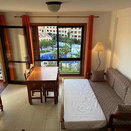 Apartment Rent *